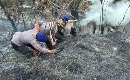 Personel BKO Polda Jatim Gerak Cepat Padamkan Titik Api, Cegah Karhutla TNBTS Meluas